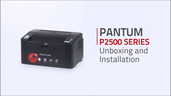 Reset Pantum P2500